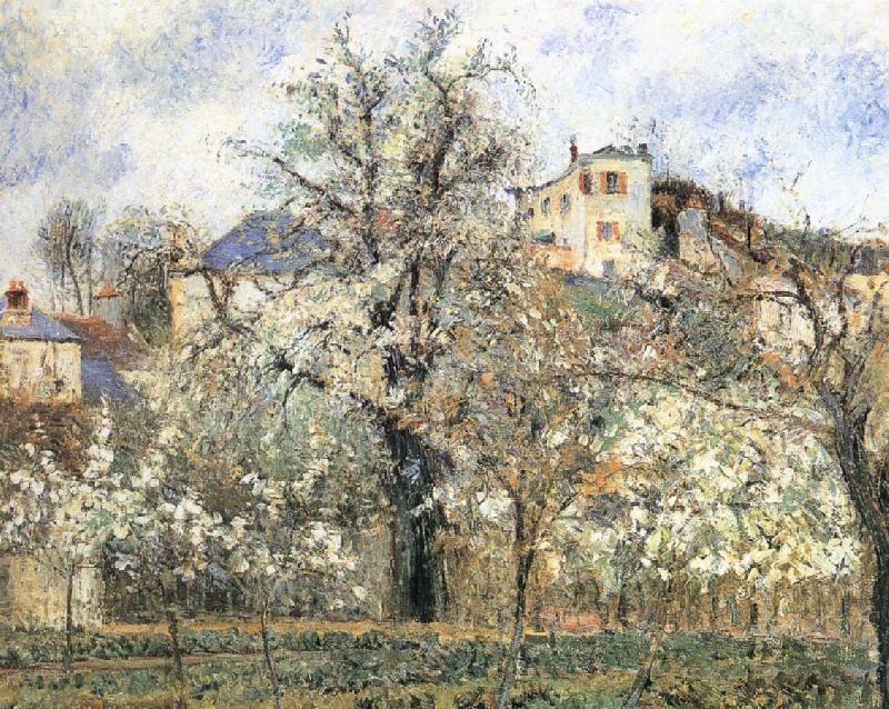 Camille Pissarro Pang plans spring Schwarz oil painting image